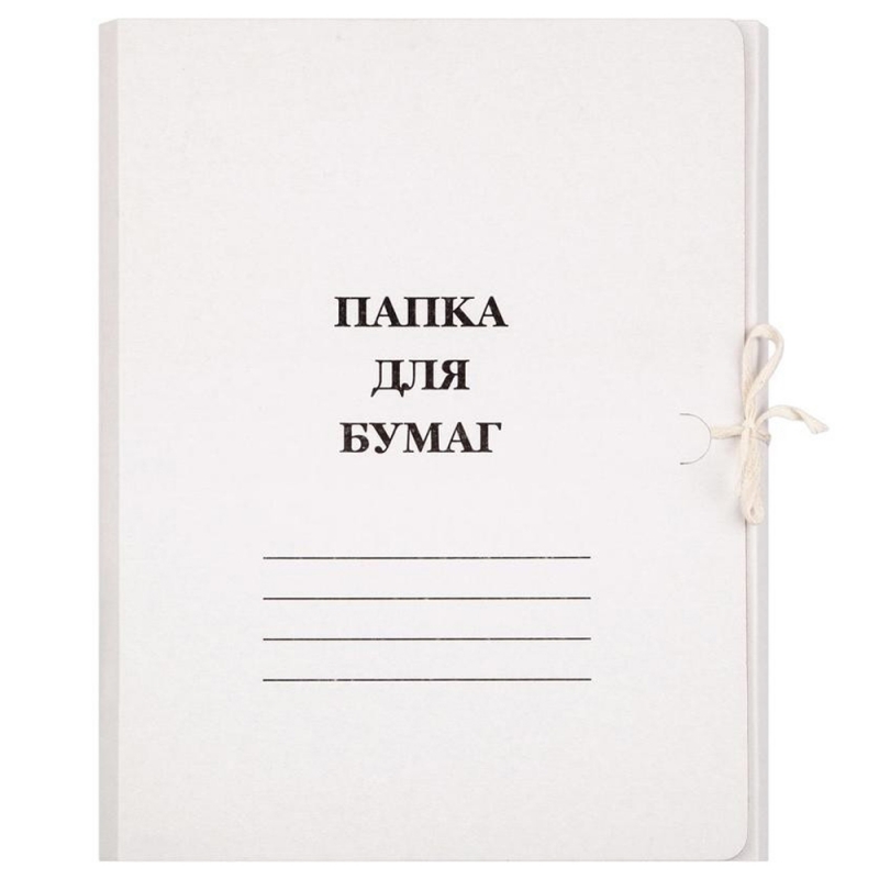 Папка с 2 завязками 